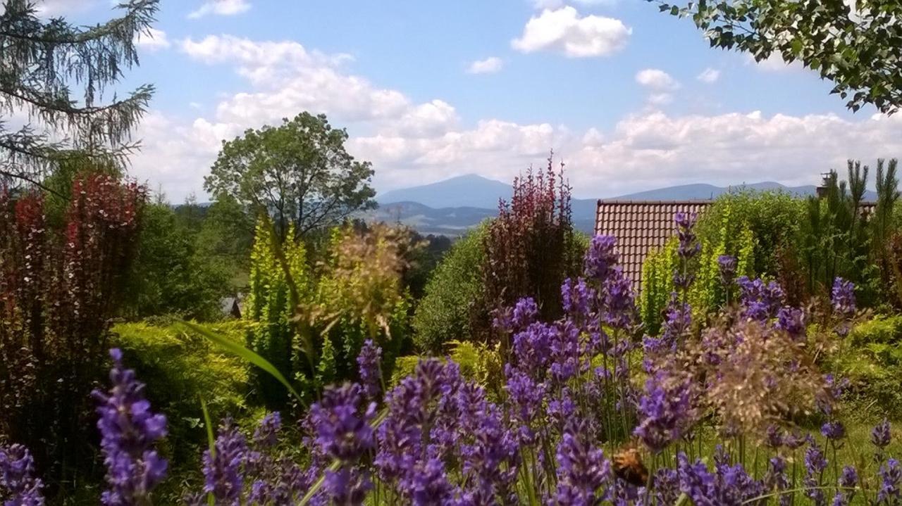 Villa Gorczanska ラプカ エクステリア 写真